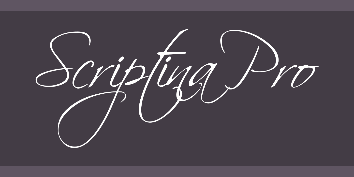 Example font Scriptina Pro #1